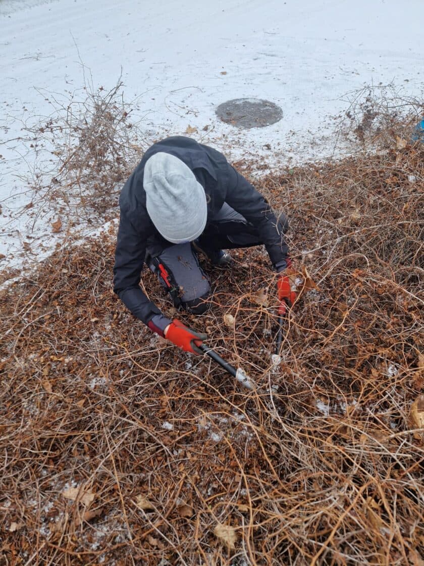 Püsikupeenra hooldus ja taimede tagasilõikus korrastatud aias